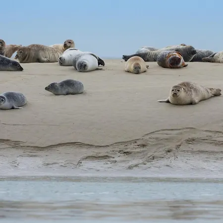 Dom wakacyjny La Baie Des Remparts Meuble Le Hable D'ault